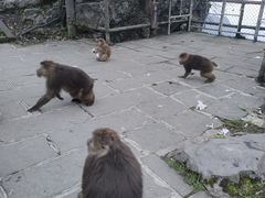 -峨眉山风景名胜区
