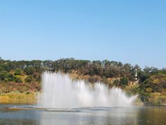 -飞凤山奥体公园