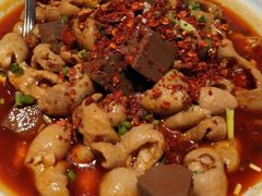 血旺肥肠-眉州东坡·熊猫主题餐厅(枫蓝店)
