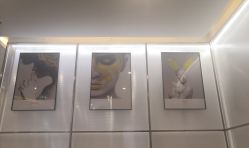 -崇尚GAVIN STYLE臻选