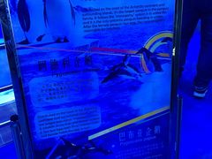 企鹅馆-上海海昌海洋公园