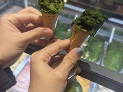 -鹤茶野所(上海首店)