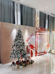 -深圳美莱医疗美容医院