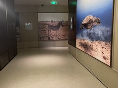 -城际上海虹桥机场酒店