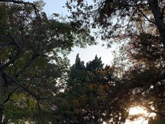 -青岛德国总督楼旧址博物馆