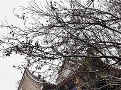 -恭王府博物馆