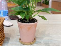 -龙格亲子游泳·水育早教运动中心(绿宝中心)