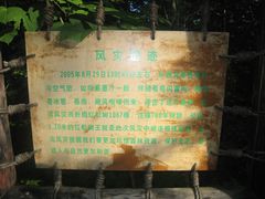 -五营红松林海景区