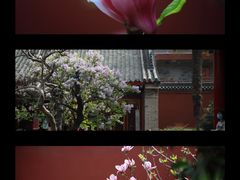 -西安市广仁寺