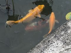 -揭东万竹园旅游景区