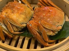 -点都德(华强南店)