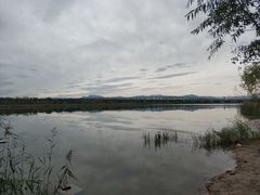 -绿堤公园