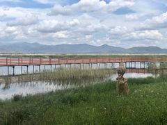 -可可托海景区