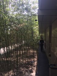 -北京英煌医疗美容