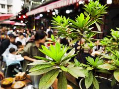 -三道苗苗鱼(三道堰老字号店)