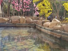 -国御温泉度假小镇