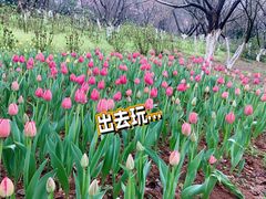 -映象潇湘·小瑶村·民族特色餐厅(植物园店)