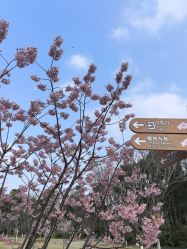 -伊莎贝拉婚礼庄园(顾村店)