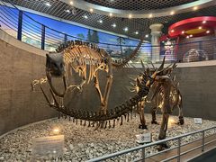 -国家自然博物馆