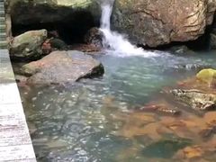 -东莞市大岭山森林公园