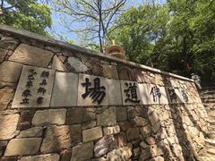 -雨花胜境