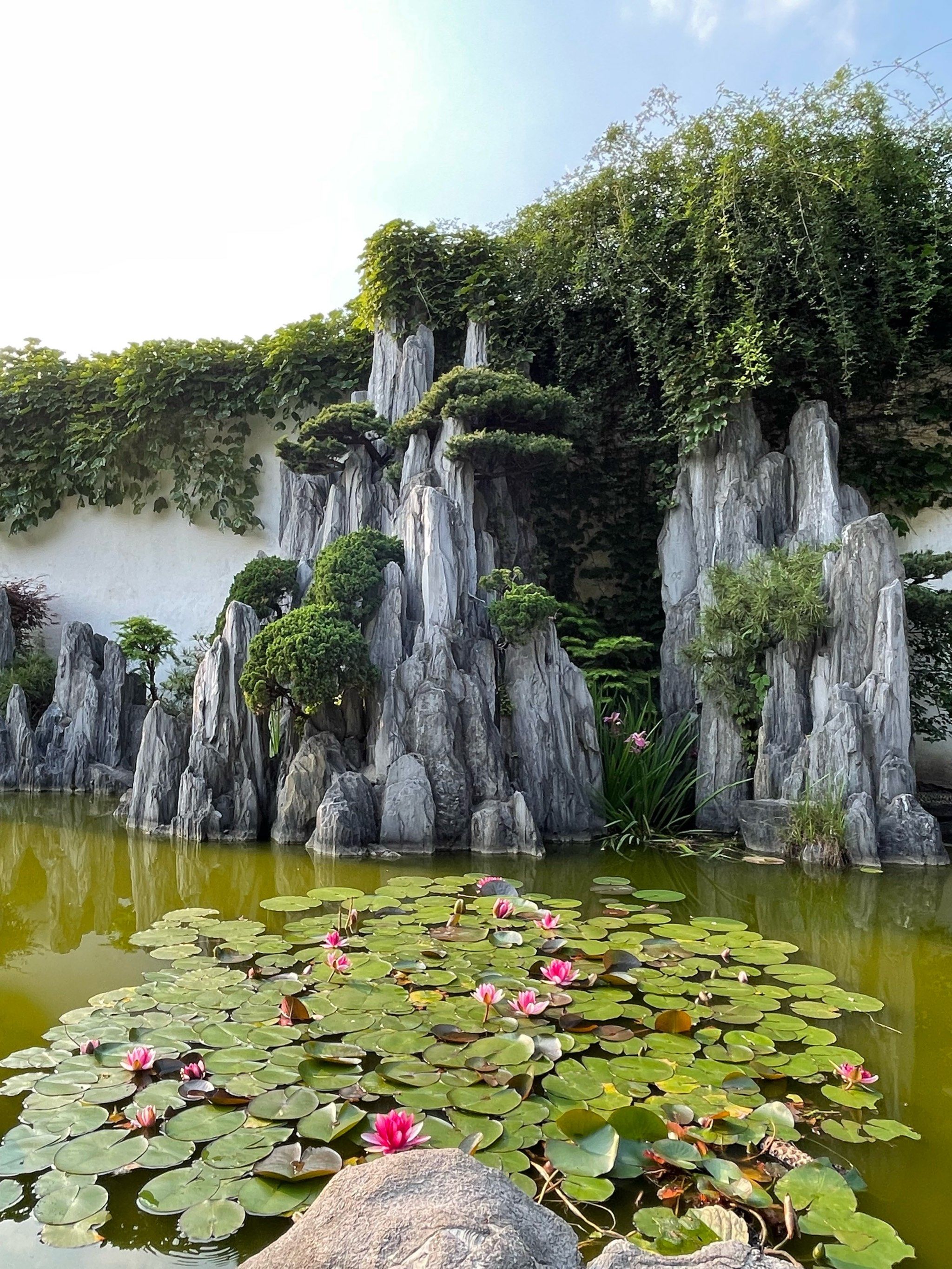 苏式建筑 园林植物园