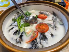 -全乐鱼馆·淳牌有机鱼直营店