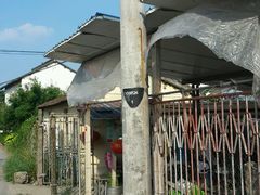 -马陆小张葡萄园农家乐