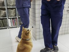-柏萃动物医院·骨科·牙科