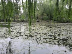 景点-范蠡湖公园