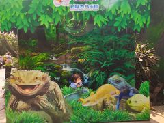 -广州长隆飞鸟乐园