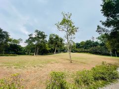 -南宁良凤江国家森林公园