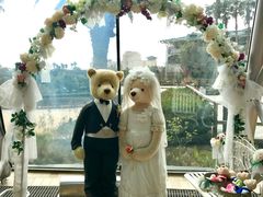 -济州岛泰迪熊博物馆