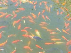 -会龙寺