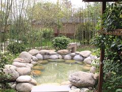 -咸宁万豪温泉谷度假区