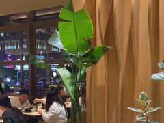 -Bco豆库(星耀天地店)