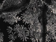 景点-圣约瑟夫大教堂