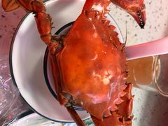 -睿柏云酒店-餐厅