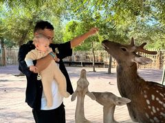 -水上乐园·欢乐世界