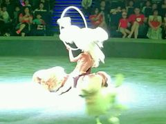 -珠海横琴长隆《卡卡虎奇遇记》