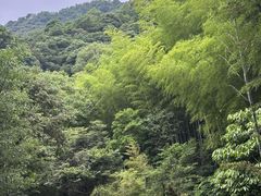-黄公望隐居地