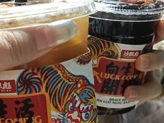 -沙胆彪炭炉牛杂煲(成都玉林店)