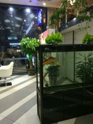 点击看大图 -港美国际