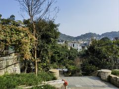 -先机泉水鸡汤(南山老君洞店)
