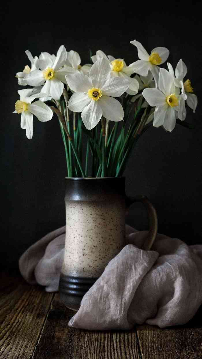 康福食品-"口味好,包装精良,各种口味满足了味蕾的需.