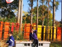 -前小桔亲子创意农场·草莓采摘·露营烧烤