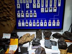 -志强陨石馆(双季花艺店)