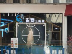 -雀舞云南菜(乐客城店)