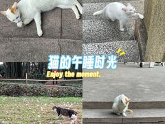 -晓港公园