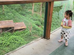 -泉州海丝野生动物世界